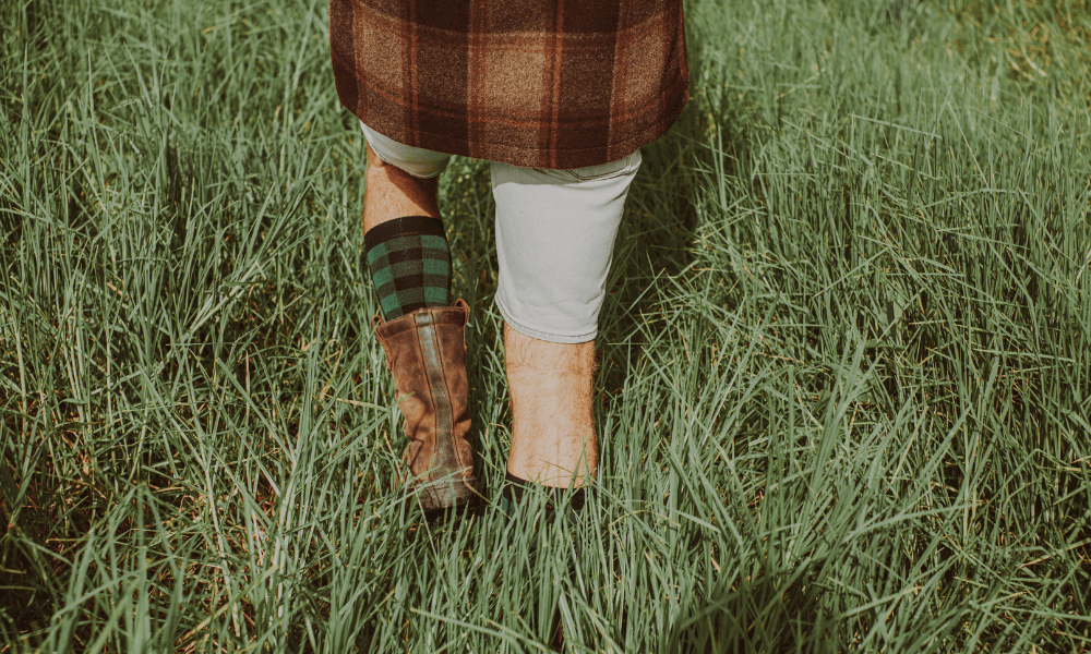 Men's Merino Socks