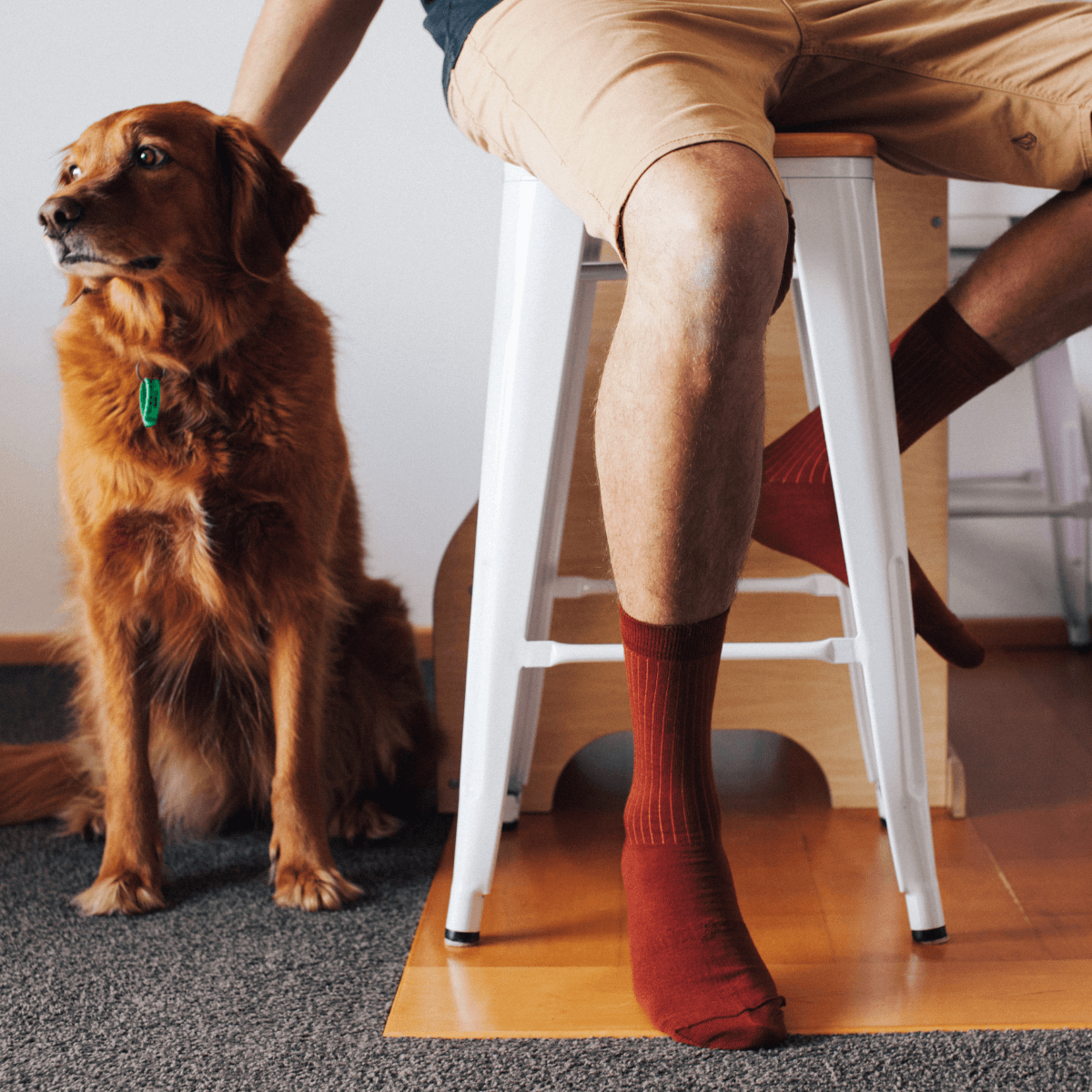 Merino Wool Socks - Man