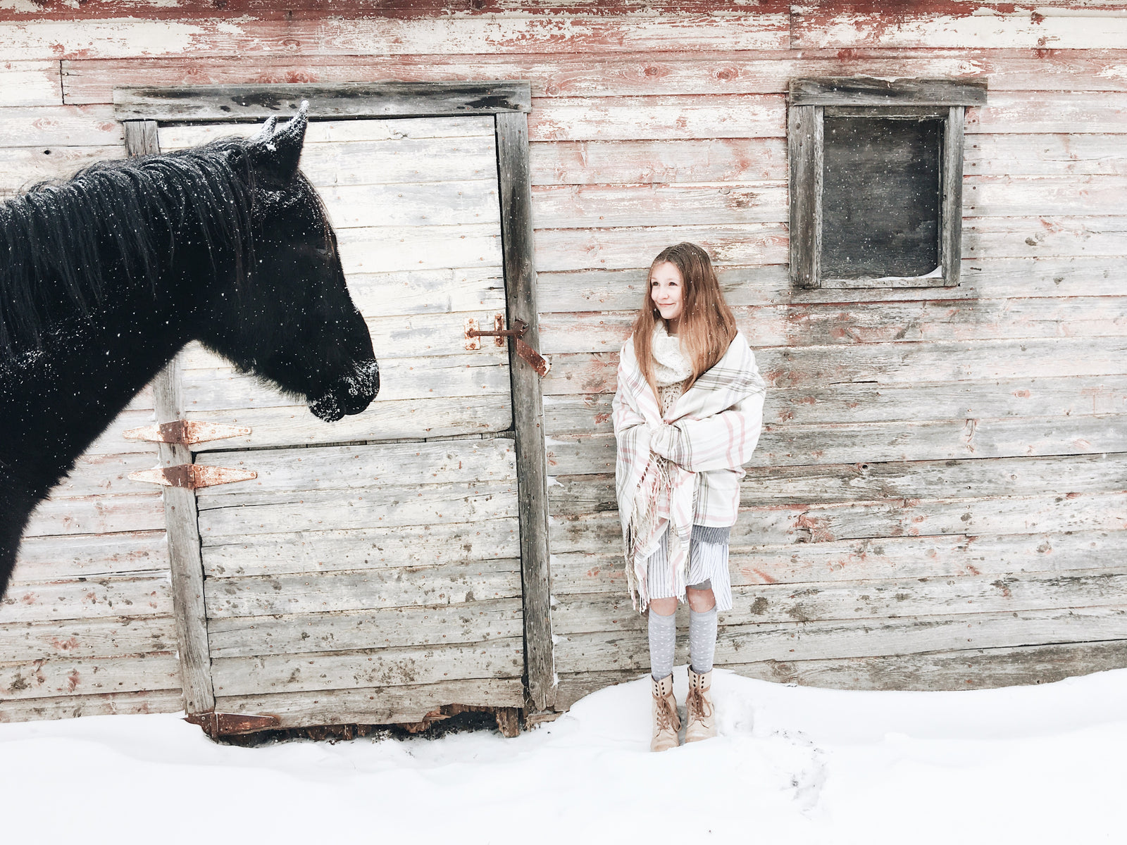 FAMILY PACK ADULTS - Merino Wool Socks