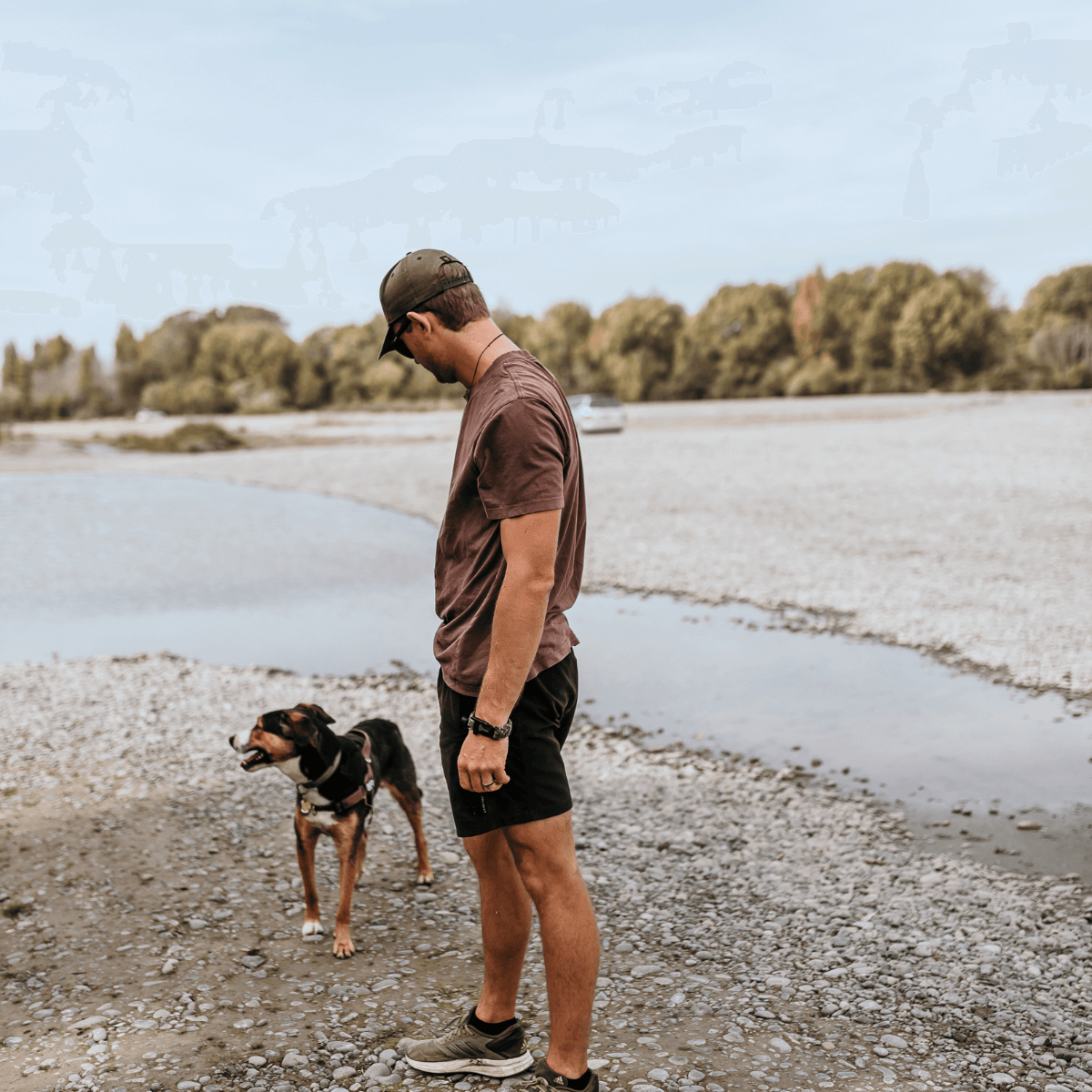 mean wearing no show sneaker socks black merino wool nz