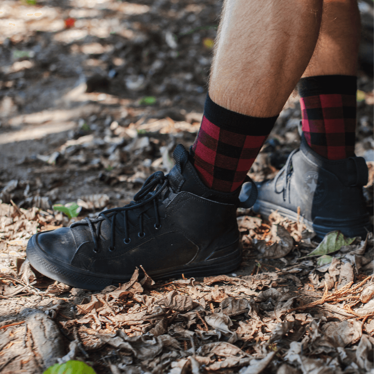 merino wool crew socks man woman nz
